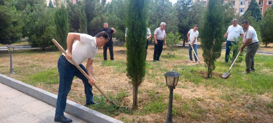 Kəlbəcər Rayon İcra Hakimiyyətinin  təşkilatçılığı ilə “Şəhərsalma və Memarlıq  ili”  çərçivəsində növbəti iməclik  aksiyası  həyata keçirilib