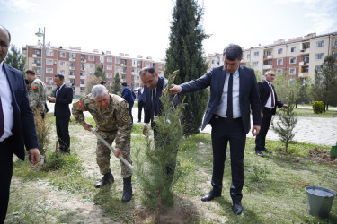 “Şəhərsalma və Memarlıq İli” çərçivəsində Kəlbəcər  Rayon İcra Hakimiyyətinin  təşkilatçılığı ilə ağacəkmə aksiyası  həyata keçirilib.