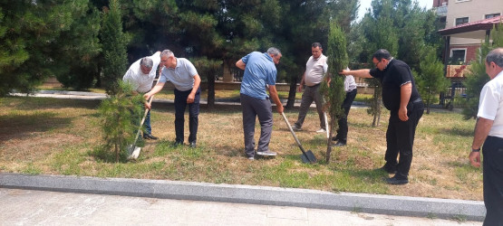 Kəlbəcər Rayon İcra Hakimiyyətinin  təşkilatçılığı ilə “Şəhərsalma və Memarlıq  ili”  çərçivəsində növbəti iməclik  aksiyası  həyata keçirilib