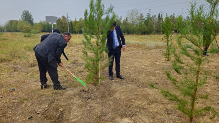 27 sentyabr-Anım günü ilə bağlı ağacəkmə aksiyası keçirilmişdir.