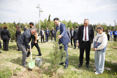 “Şəhərsalma və Memarlıq İli” çərçivəsində Kəlbəcər  Rayon İcra Hakimiyyətinin  təşkilatçılığı ilə ağacəkmə aksiyası  həyata keçirilib.