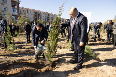 Kəlbəcər rayon İcra Hakimiyyəti tərəfindən “Yaşıl dünya naminə həmrəylik ili”çərçivəsində növbəti ağacəkmə aksiyası təşkil olunub.