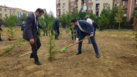 27 sentyabr-Anım günü ilə bağlı ağacəkmə aksiyası keçirilmişdir.