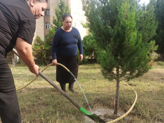 Şərqi Zəngəzur Regional Mədəniyyət İdarəsinin Kəlbəcər rayon nümayəndəliyinin tabeliyində olan müəssisələrdə " Yaşıl dünya naminə həmrəylik ili" ilə bağlı ağaclara texniki qulluq göstərilmiş,yaşıllıq zonası təmizlənmişdir.