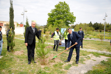 “Şəhərsalma və Memarlıq İli” çərçivəsində Kəlbəcər  Rayon İcra Hakimiyyətinin  təşkilatçılığı ilə ağacəkmə aksiyası  həyata keçirilib.
